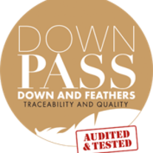 Downpass-Logo