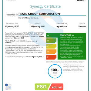 SurveyCertificate_PEARL GROUP CORPORATION_16_01_2025 (1)