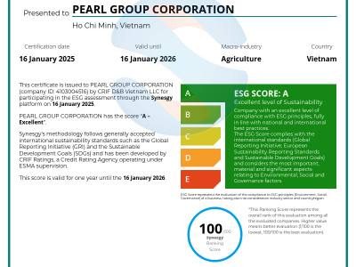 SurveyCertificate_PEARL GROUP CORPORATION_16_01_2025 (1)