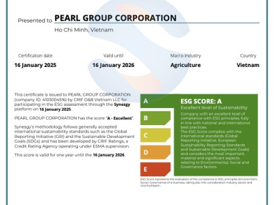 SurveyCertificate_PEARL GROUP CORPORATION_16_01_2025